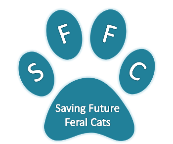 Saving Future Feral Cats
